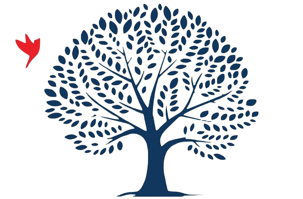 Ambleside Stawi International School